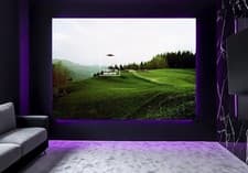 Large X Files Want To Believe Billy Meier UFO UAP Flying Saucer Wall Art Poster