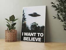 I Want To Believe Ufo Television Series - Canvas - Framed or  Poster Available