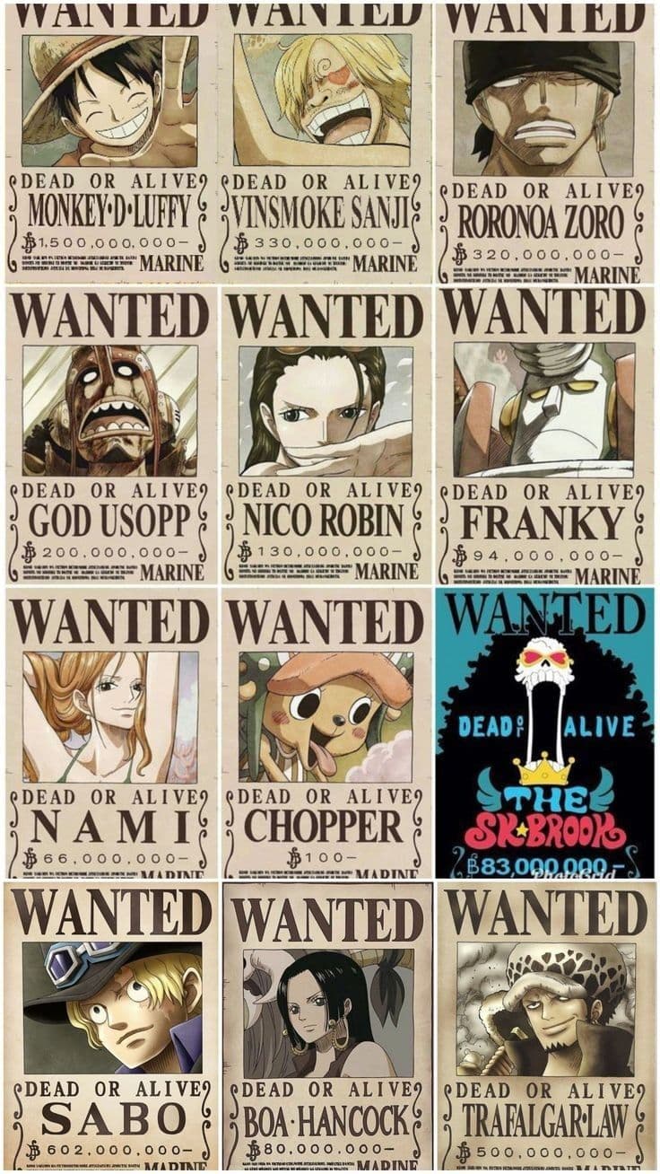 Complete grid of One Piece wanted posters